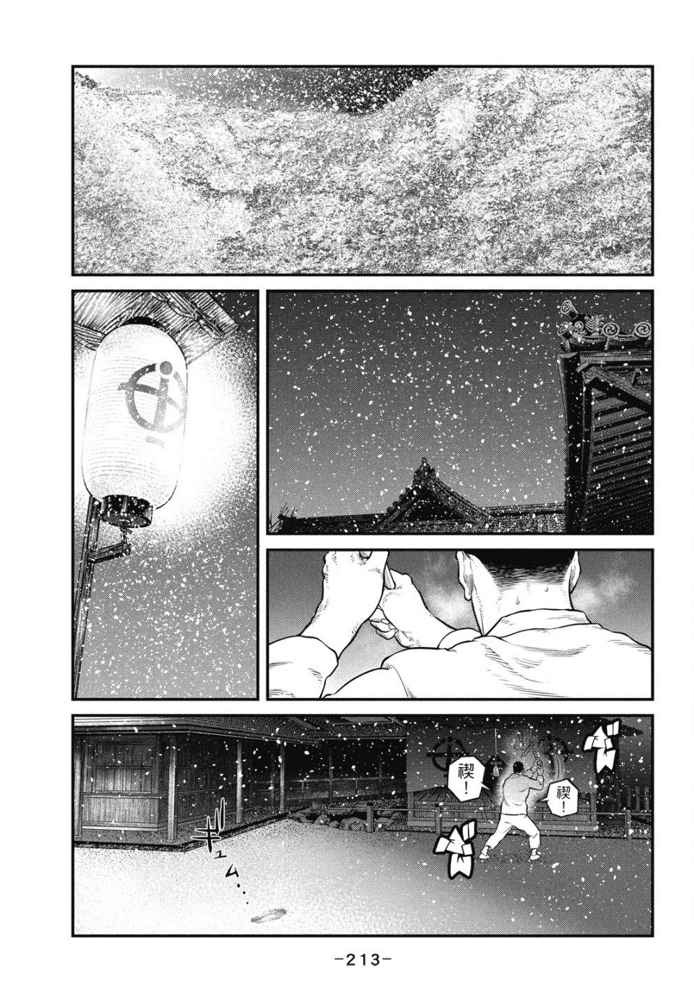 第213页