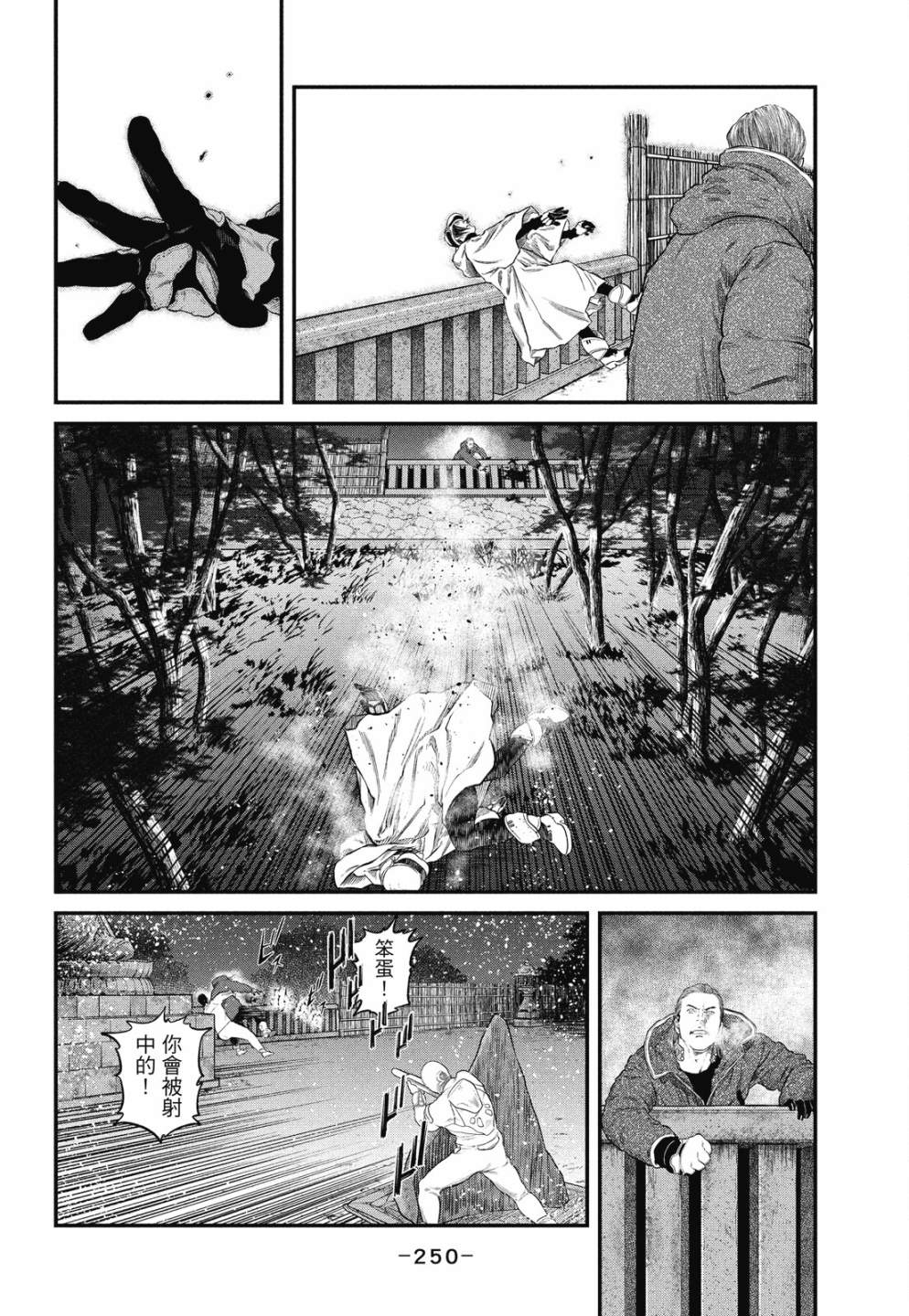 第250页