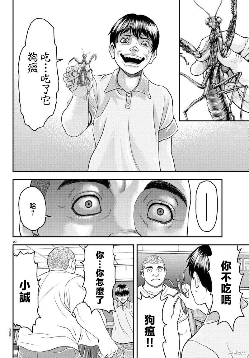 第20页