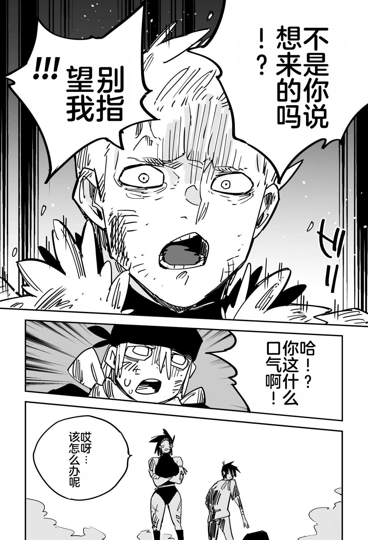 第233页